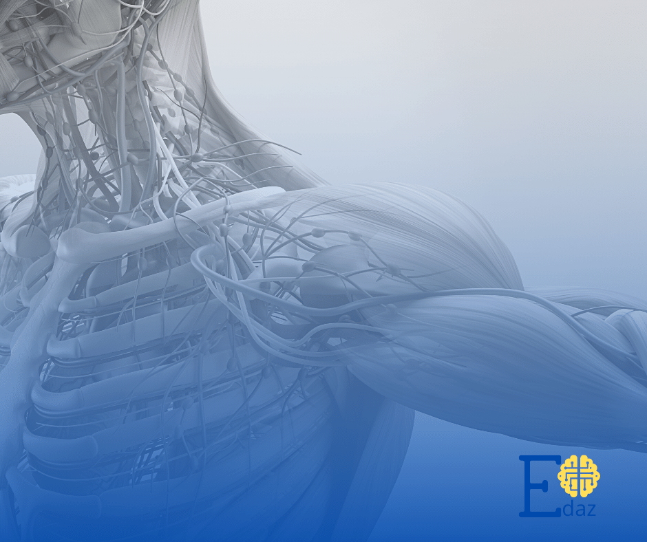 Anatomia Geral